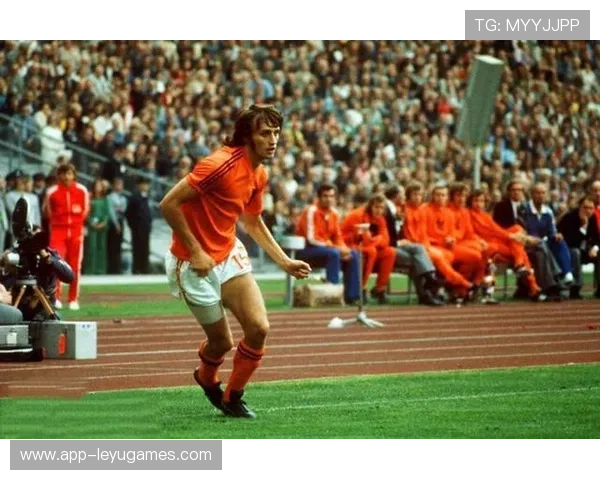 世界杯此组没有缓冲区